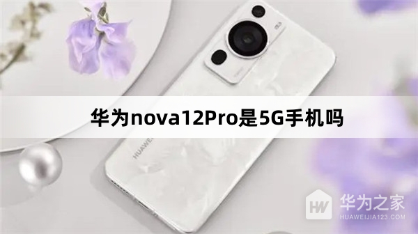 华为Nova12Pro是不是5G手机