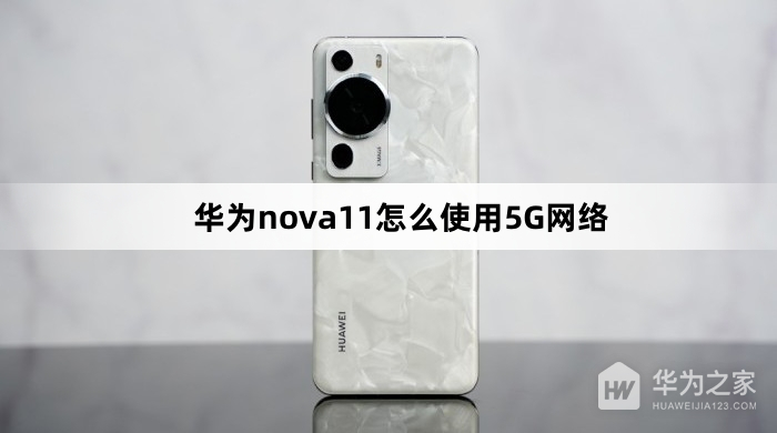 华为nova11怎么用5G网络