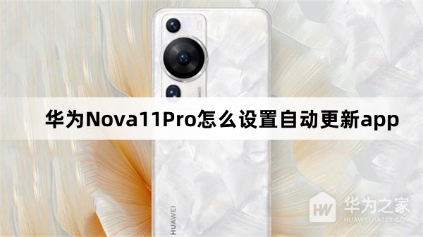 华为Nova11Pro如何设置自动更新app